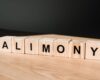 Spousal Support Attorney Insights: Understanding Alimony Laws